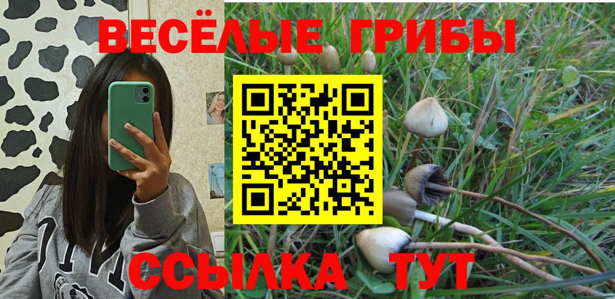 Галлюциногенные грибы Cubensis Лесосибирск